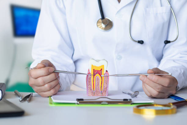 Best Urgent Tooth Repair  in Lasalle, IL